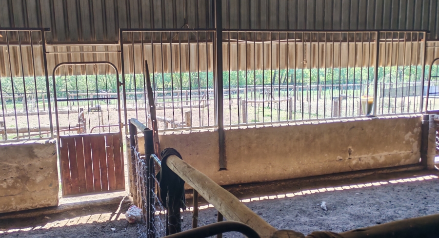 4 Bedroom Property for Sale in Middelburg Rural Eastern Cape